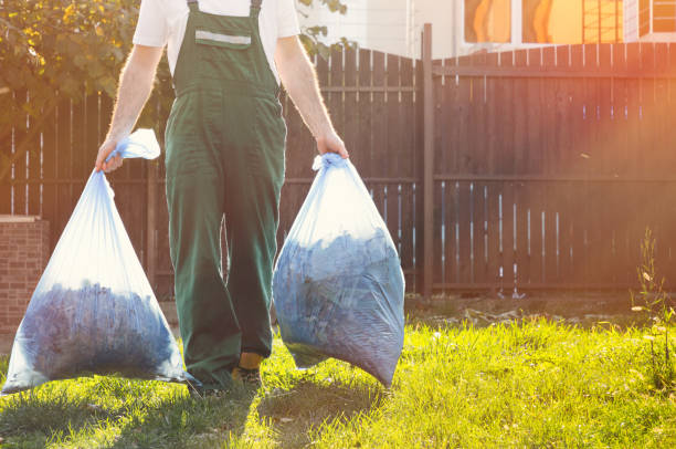 Best Electronics Removal Services  in Wedgefield, SC